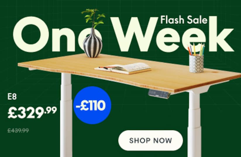 Kana Standing Desk with Bamboo Top FlexiSpot